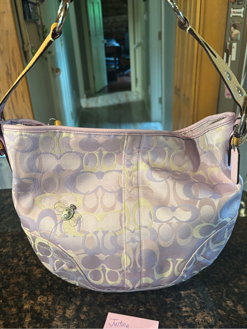 Coach Purple Optic Ladybug Hobo